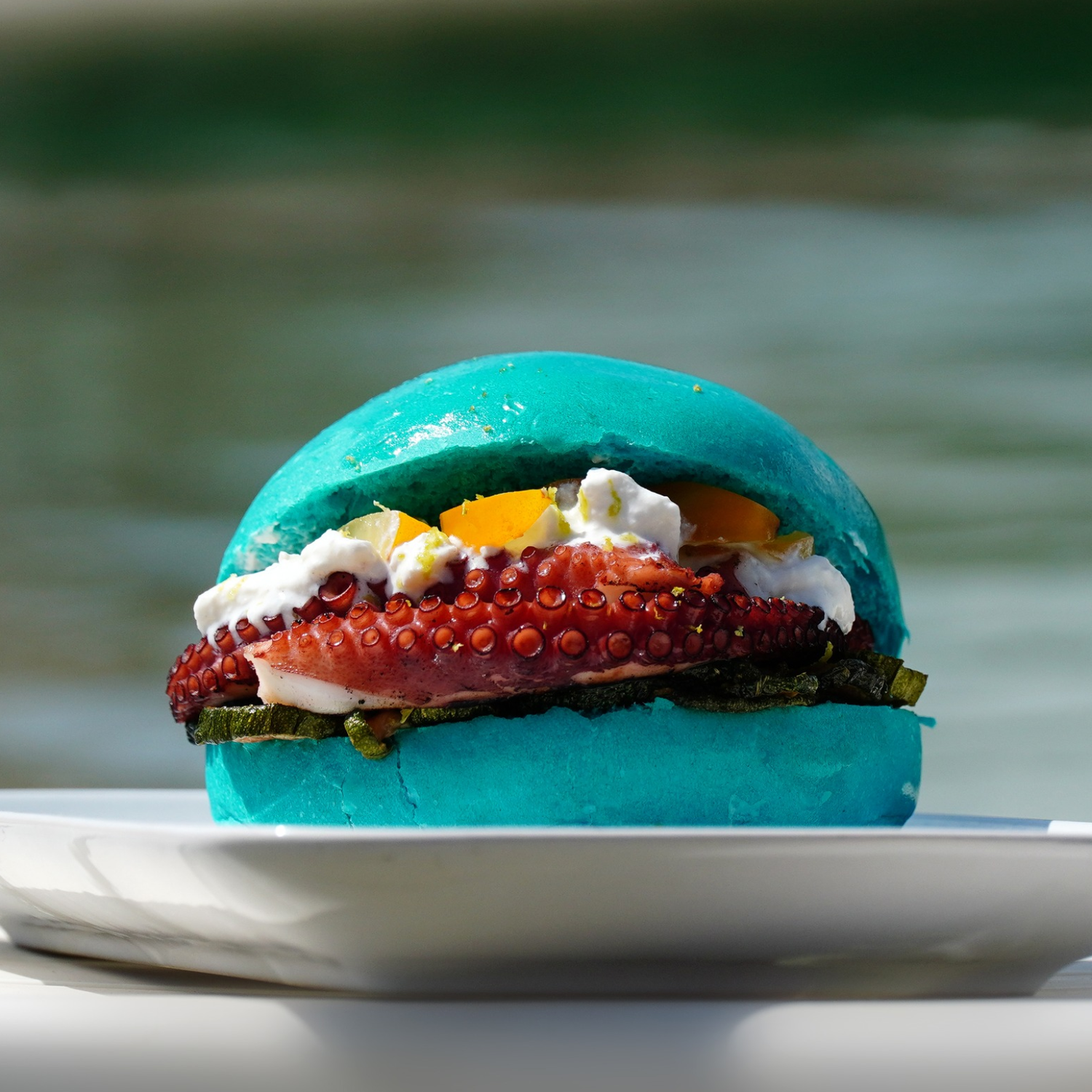 Panini hamburger colorati